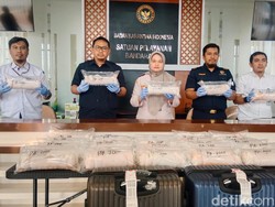 Penyelundupan 80 Ribu Benih Lobster Rp 1,6 Miliar di YIA Digagalkan