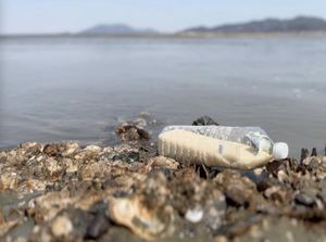 Kisah Pembelot Korut Kirim Beras dalam Botol untuk Rekan Senegaranya Kisah Pembelot Korut Kirim Beras dalam Botol untuk Rekan Senegaranya