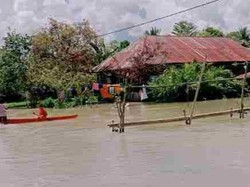 5 Desa di Lutra Sebulan Terendam Banjir, Warga Mulai Terserang Gatal-gatal