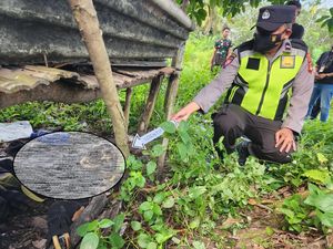 Tengkorak Manusia Ditemukan di Kebun Sawit Muara Enim, Diduga ODGJ