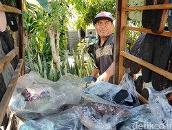 Haru Penjual Sandal Naik Haji Berkat Nabung 22 Tahun dan Keajaiban Sedekah