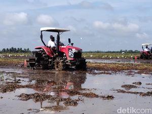 Pemprov Sumsel Siapkan Bantuan Benih bagi Petani yang Terdampak Banjir
