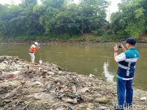 Fenomena Bladu Terjadi Lagi di Bengawan Solo, Perum Jasa Tirta I Ambil Sampel Fenomena Bladu Terjadi Lagi di Bengawan Solo, Perum Jasa Tirta I Ambil Sampel