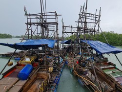 Perusak Mangrove di Belitung Koordinator Tambang Ilegal, Jaringan Diburu KLHK