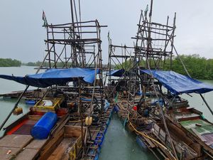 Perusak Mangrove di Belitung Koordinator Tambang Ilegal, Jaringan Diburu KLHK Perusak Mangrove di Belitung Koordinator Tambang Ilegal, Jaringan Diburu KLHK