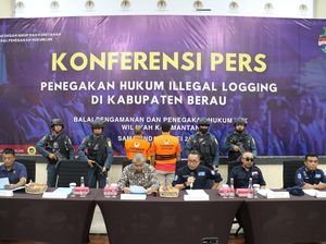 Gakkum KLHK Bongkar Jaringan Kayu Ilegal Berau-Surabaya, Ada 2 Tersangka