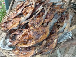 Ikan Salai Khas Sumsel: Cara Membuat, Jenis hingga Kelebihannya
