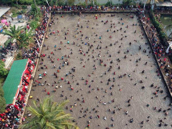 Meriahnya Tradisi Ngubek Empang di Depok