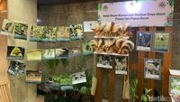 Potret Pameran Keanekaragaman Hayati Kenalkan Semua Upaya Konservasi