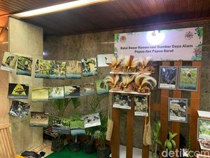 Mengenal Badak-Komodo dkk dan Konservasi Pelestariannya di Pameran Keanekaragaman Hayati Mengenal Badak-Komodo dkk dan Konservasi Pelestariannya di Pameran Keanekaragaman Hayati