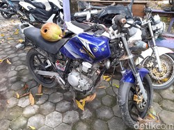 Pemotor di Selayar Tewas Tabrak Pohon Usai Tertimpa Buah Kelapa