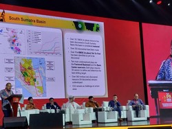Harta Karun Migas Raksasa di Papua Sudah Dilirik Perusahaan Asing