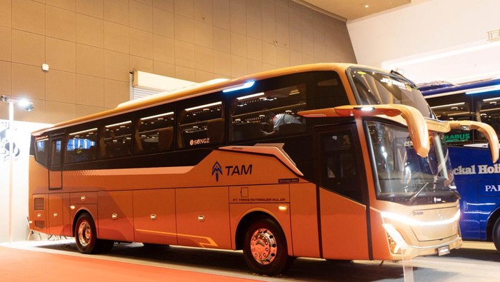 PO TAM Rilis 10 Bus Baru: Pakai Sasis Mercedes-Benz, Bodi Adiputro