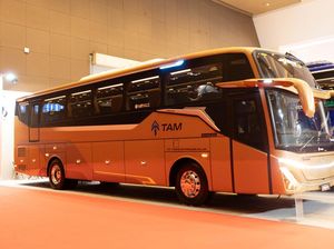 PO TAM Rilis 10 Bus Baru: Pakai Sasis Mercedes-Benz, Bodi Adiputro PO TAM Rilis 10 Bus Baru: Pakai Sasis Mercedes-Benz, Bodi Adiputro