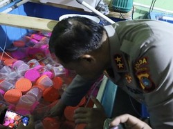 Polisi Gagalkan Penyelundupan 177 Ribu Benih Lobster ke Singapura