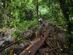 Kemenhut: RI Punya 574 Unit Kawasan Konservasi, Didominasi Cagar Alam
