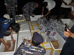 Polda Sumsel Sita Benih Lobster Senilai Rp 15,9 Miliar, 2 Pelaku Diamankan