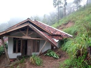 50 Hektare Sawah di Gununghalu KBB Tertimbun Longsor, Petani Gagal Panen 50 Hektare Sawah di Gununghalu KBB Tertimbun Longsor, Petani Gagal Panen