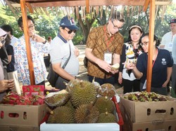 Kesan 17 Delegasi Ambassador Goes to Kampung KB Kunjungi Banyuwangi