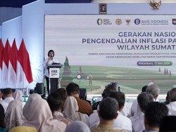 Begini Jurus BI Kendalikan Inflasi