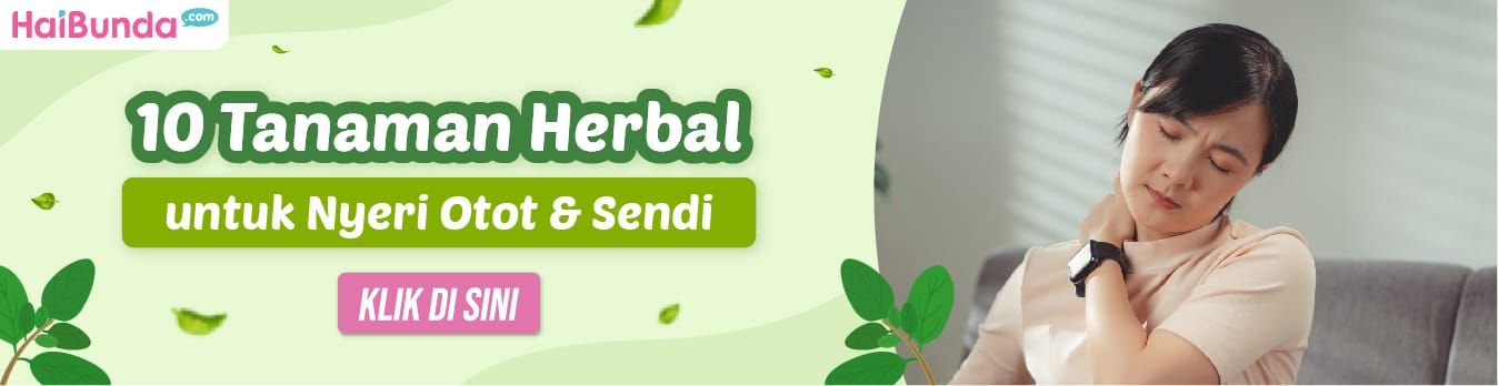Banner Tanaman Herbal untuk Nyeri Otot
