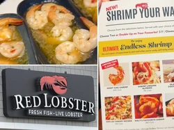 Bukannya Untung, Restoran Ini Bangkrut Usai Bikin Promo All You Can Eat