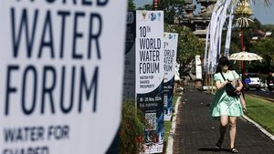 Bali Berhias Penjor Jelang World Water Forum