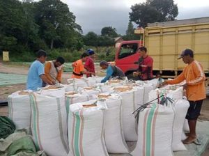 Bima Jajaki Kerja Sama Tata Niaga Jagung dengan Blitar Bima Jajaki Kerja Sama Tata Niaga Jagung dengan Blitar