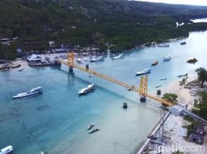 Proyek Jembatan Nusa Ceningan-Lembongan Akan Terabas Lahan Mangrove Proyek Jembatan Nusa Ceningan-Lembongan Akan Terabas Lahan Mangrove