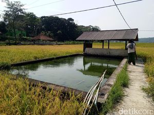Melihat Mata Air Cigempol Sumedang yang Tak Pernah Surut Meski Kemarau