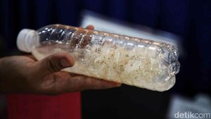 Polri dan KKP Gagalkan Penyelundupan Benih Lobster di Bogor