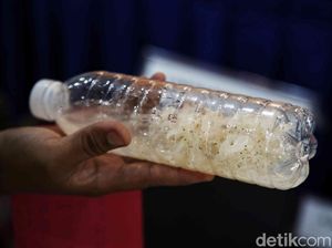 Polri dan KKP Gagalkan Penyelundupan Benih Lobster di Bogor