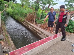Hanyut di Saluran Irigasi, Balita di Mendoyo Jembrana Tewas