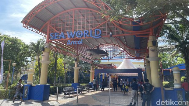 Sea World Ancol, Jakarta