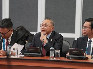 RI Mau Impor Sapi Hidup dari Selandia Baru