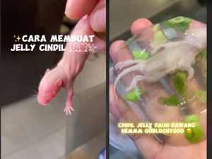 Ngeri! Pria Ini Bikin Jelly dengan Isian Bayi Tikus Ngeri! Pria Ini Bikin Jelly dengan Isian Bayi Tikus