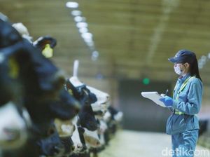 Peternakan Sapi di China Sudah Pakai Teknologi Canggih untuk Perah Susu