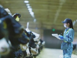 Peternakan Sapi di China Sudah Pakai Teknologi Canggih untuk Perah Susu