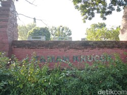 Rumput Liar yang Jadi Penghias Sepinya Taman Krucuk Cirebon