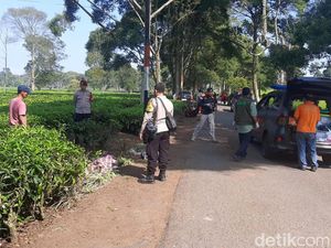 Dua Mayat Anak Punk Tergeletak di Perkebunan Teh Malabar Bandung