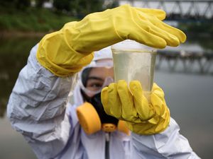 DAS Citarum Tercemar Paracetamol, Ini Kata KLHK DAS Citarum Tercemar Paracetamol, Ini Kata KLHK