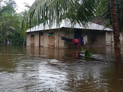 Banjir Rendam 150 Rumah Warga Desa Algadang Maluku Imbas Curah Hujan Tinggi