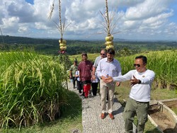 Mantan Presiden Hungaria Lihat Proses Tanam-Panen Padi di Jatiluwih Saat WWF