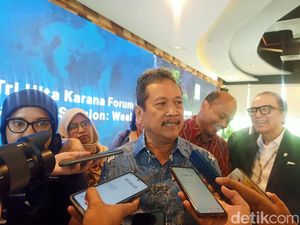 Pemijahan Lobster Sulit, KKP Gandeng Perguruan Tinggi untuk Riset Pemijahan Lobster Sulit, KKP Gandeng Perguruan Tinggi untuk Riset
