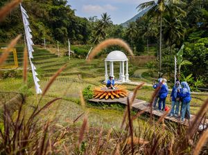 Syahdunya Wisata Alam di Persawahan Garut Syahdunya Wisata Alam di Persawahan Garut