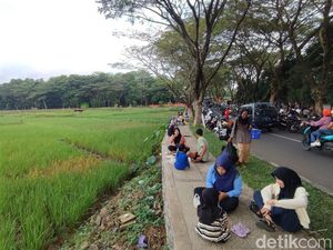 Nikmatnya Sarapan di Pinggir Sawah Ciamis