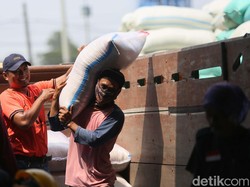 Pemerintah Tugaskan Bulog Beli Gabah Rp 6.500/Kg