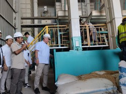 Musim Panen Tinggal 2 Minggu Lagi, Bos Bulog Tinjau Penyerapan Gabah di Karawang