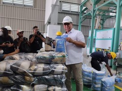 Bos Bulog Sebut Harga Beras Sulit Turun Kalau Sudah Naik