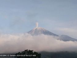 Gunung Semeru Erupsi 2 Kali, Warga Diminta Jauhi Radius 13 Km